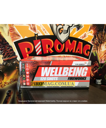 WELLBEING 120 выстрелов