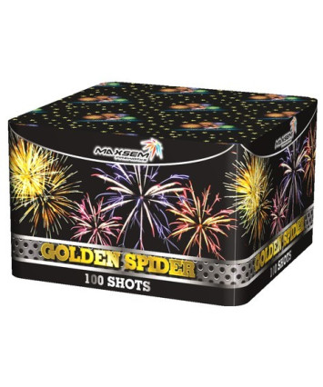 GOLDEN SPIDER 100 выстрелов
